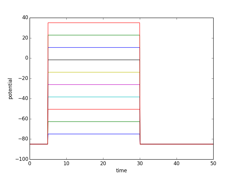 Illustrative simulation results when executing this simulation experiment several times with different clamp potentials in the voltage clamp protocol.