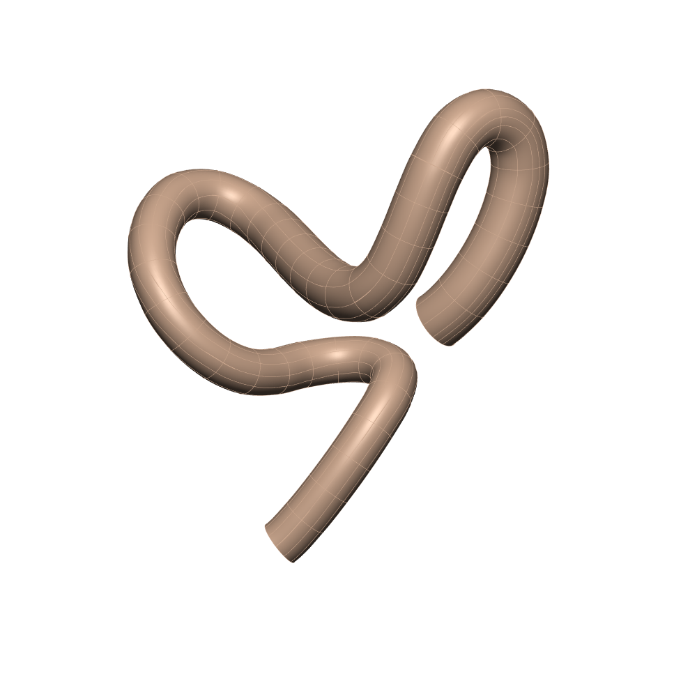 Rendering of the generic mouse colon scaffold.