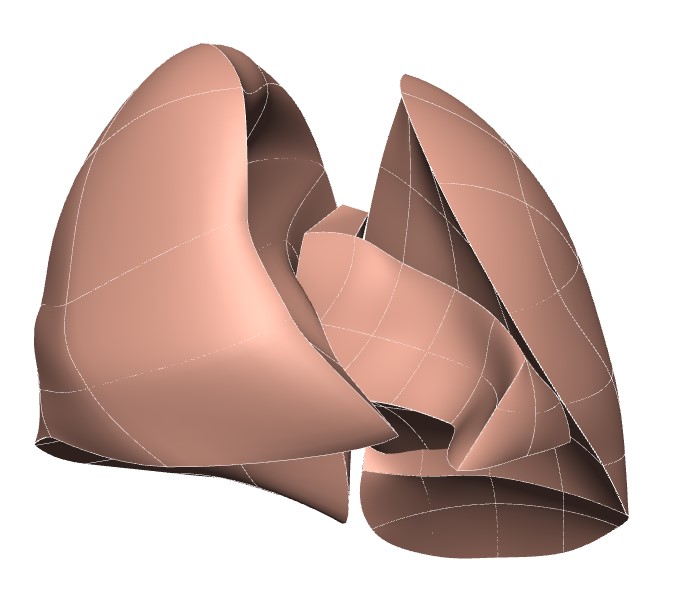 Rendering of the mouse lung scaffold.