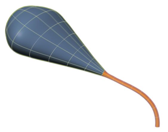 Rendering of the generic human bladder scaffold.