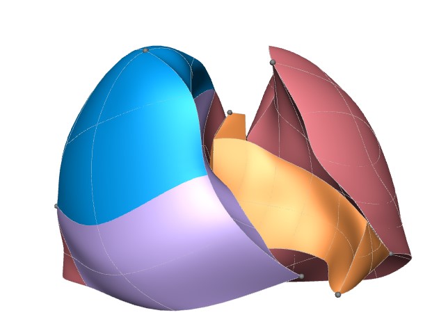 Rendering of the mouse lung scaffold.