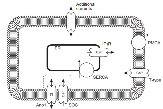 Schematic diagram of ICC.