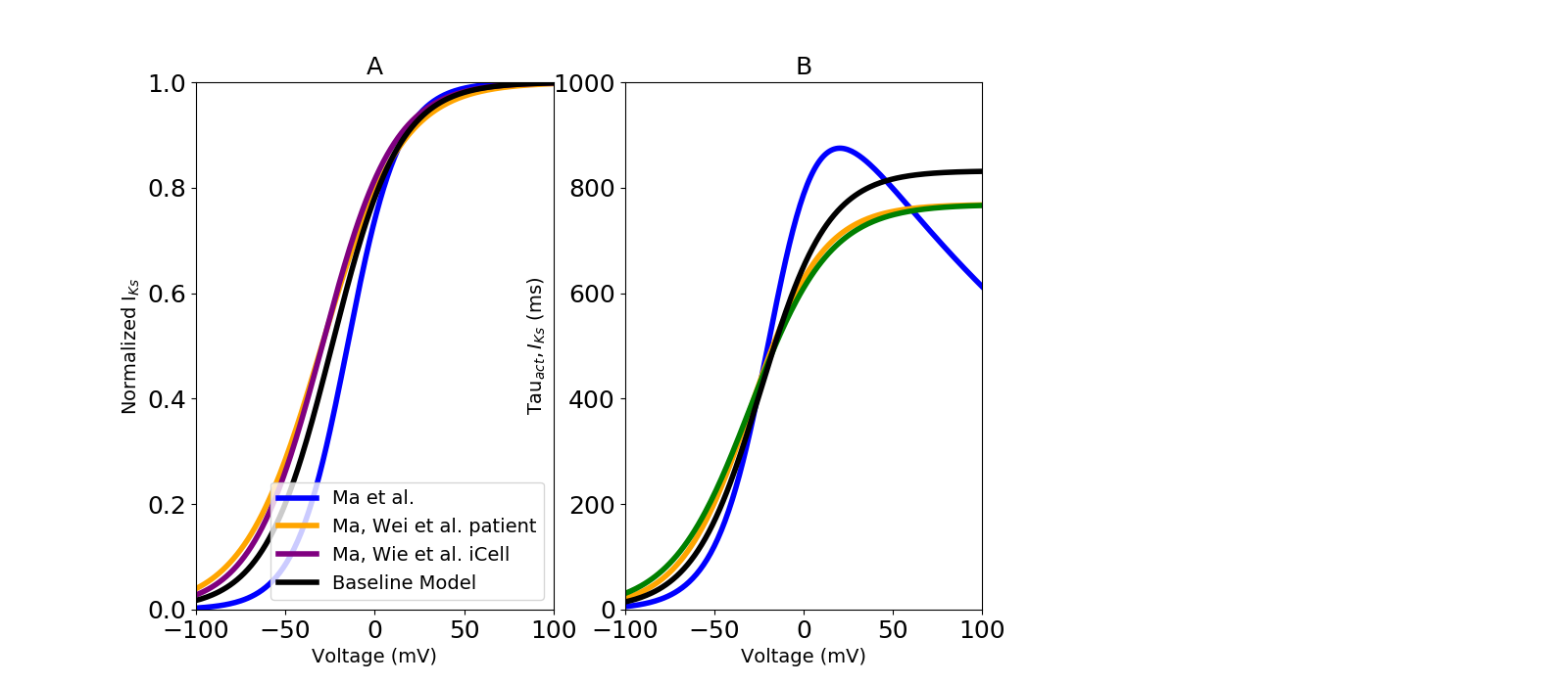 Slow delayed rectifier potassium current model optimization