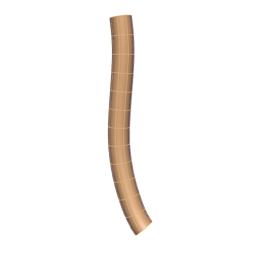 Rendering of the generic human esophagus scaffold.