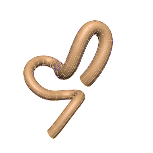Rendering of the generic mouse colon scaffold.