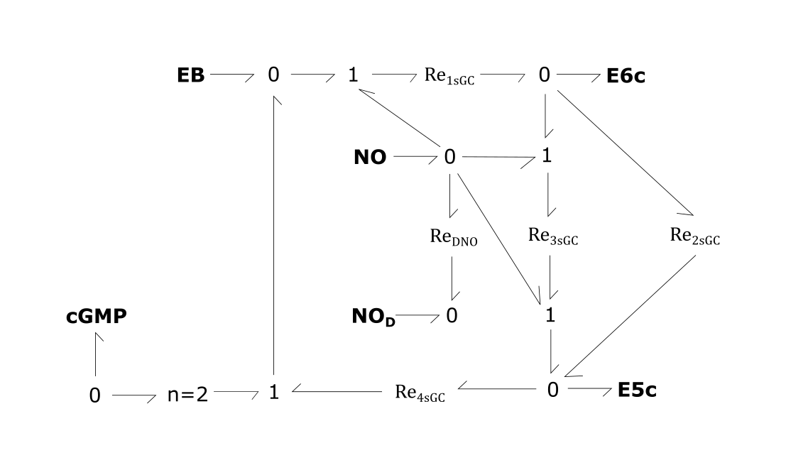sGCactivation
