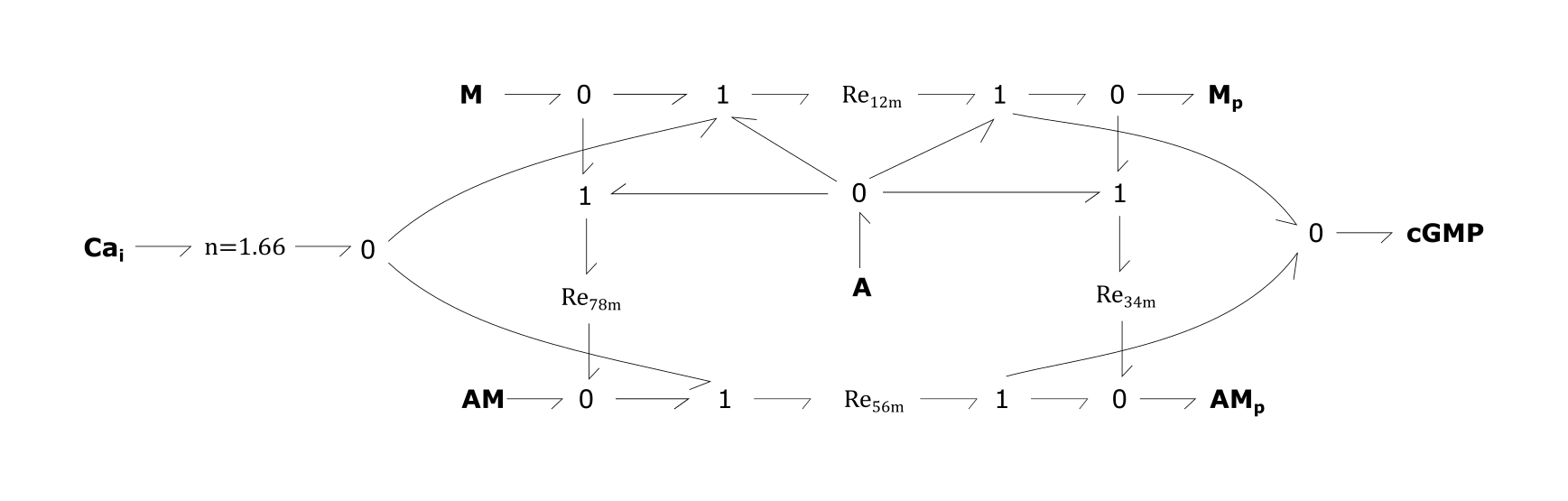 SM_contraction