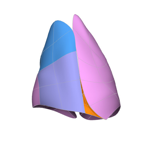 Rendering of the mouse lung scaffold.