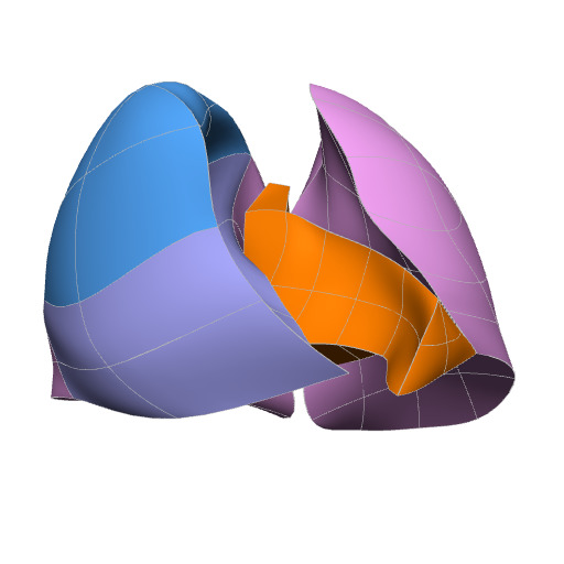 Rendering of the mouse lung scaffold.