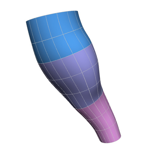 Rendering of the human brainstem scaffold.