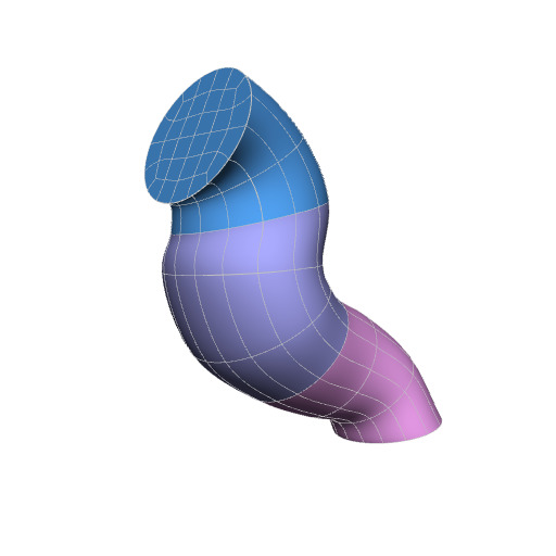 Rendering of the mouse brainstem scaffold.