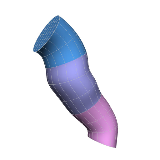 Rendering of the rat brainstem scaffold.