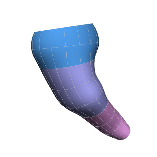 Rendering of the pig brainstem scaffold.