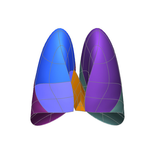 Rendering of the pig lung scaffold.