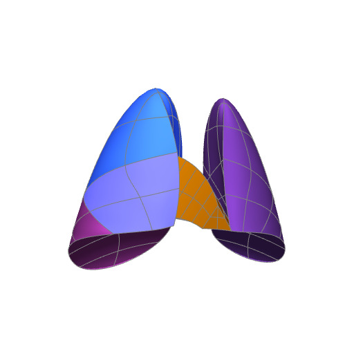 Rendering of the mouse lung scaffold.