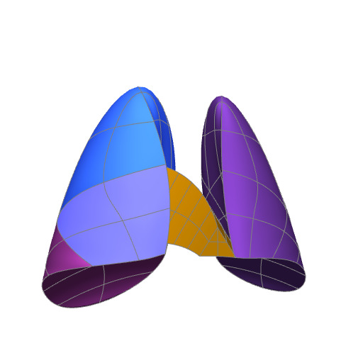 Rendering of the mouse lung scaffold.