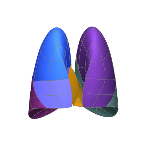 Rendering of the pig lung scaffold.