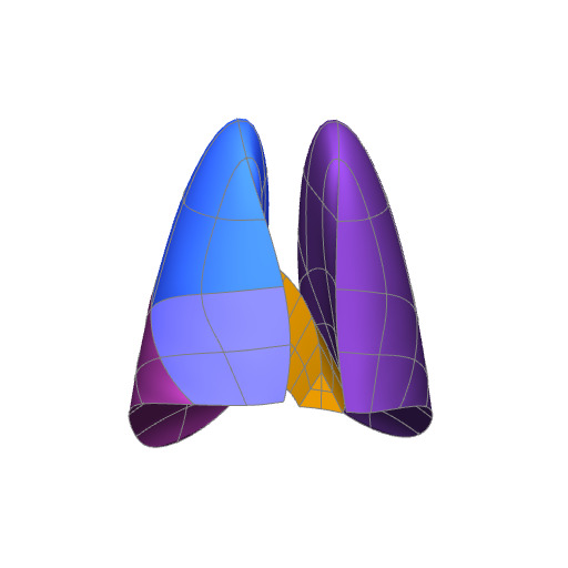 Rendering of the rat lung scaffold.