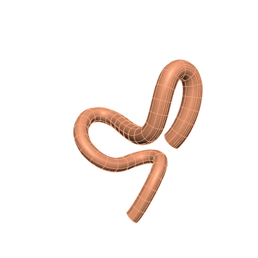 Rendering of the generic mouse colon scaffold.