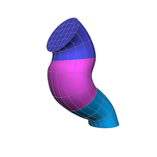 Rendering of the mouse brainstem scaffold.