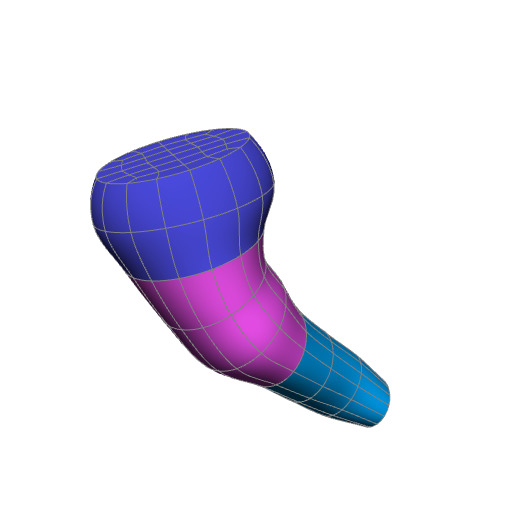 Rendering of the pig brainstem scaffold.