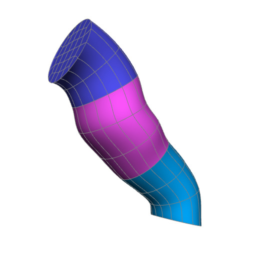 Rendering of the rat brainstem scaffold.