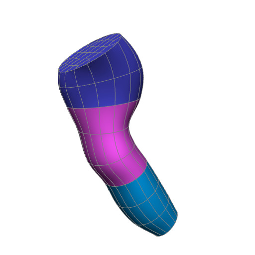Rendering of the sheep brainstem scaffold.