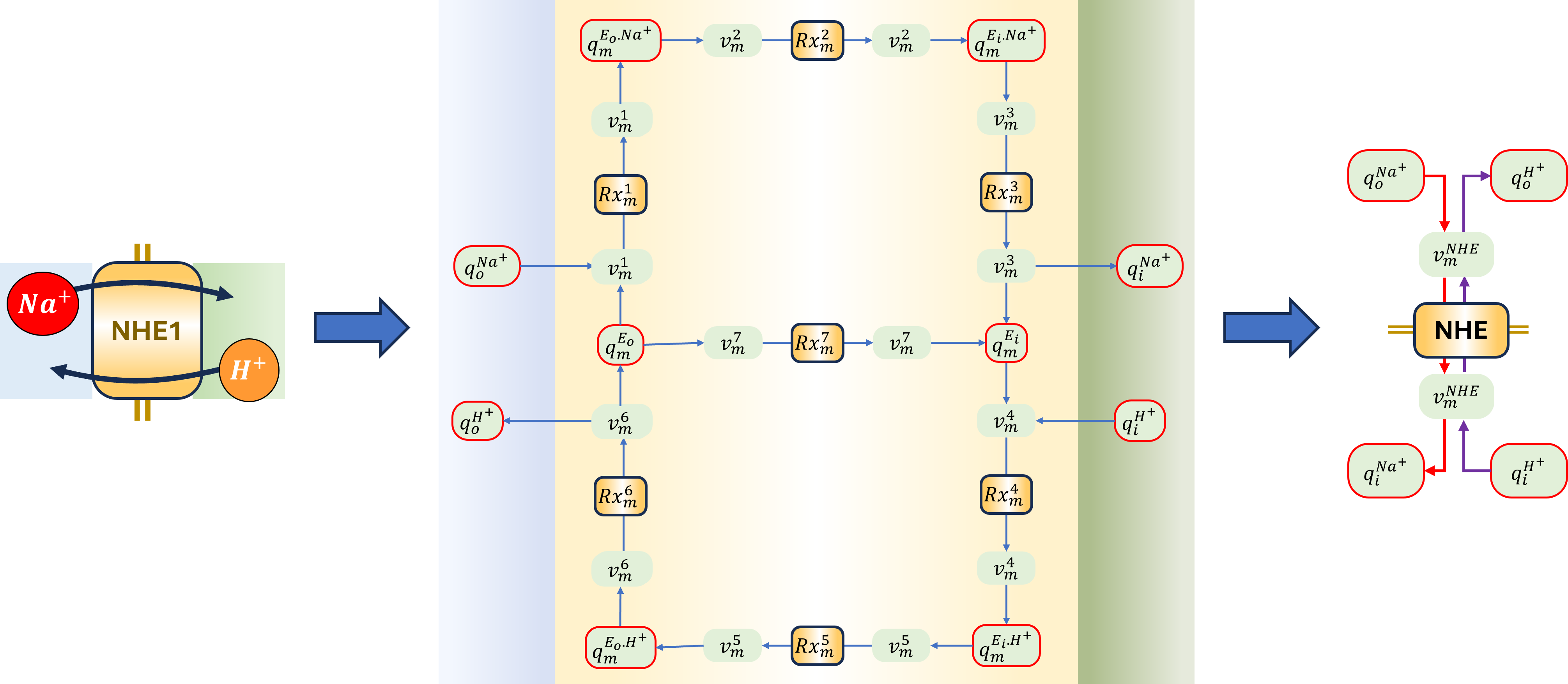Schematic and bond graph of the model