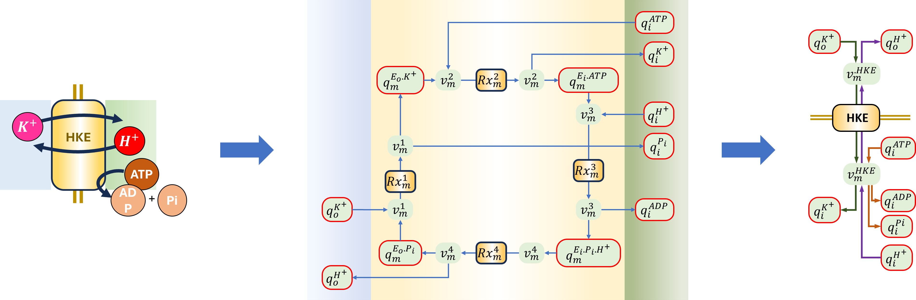 Schematic and bond graph of the model