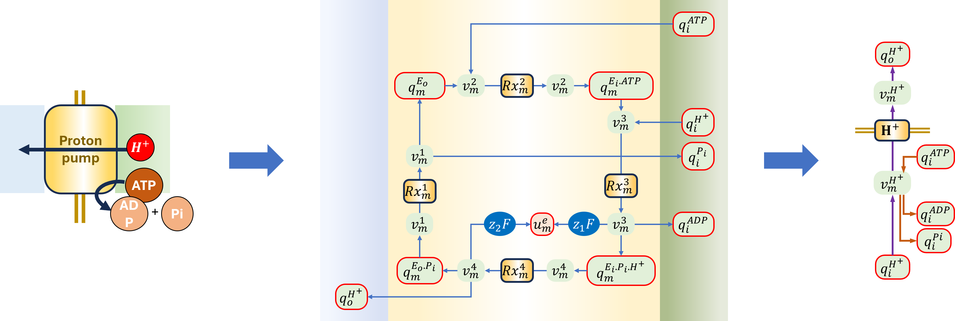 Schematic and bond graph of the model