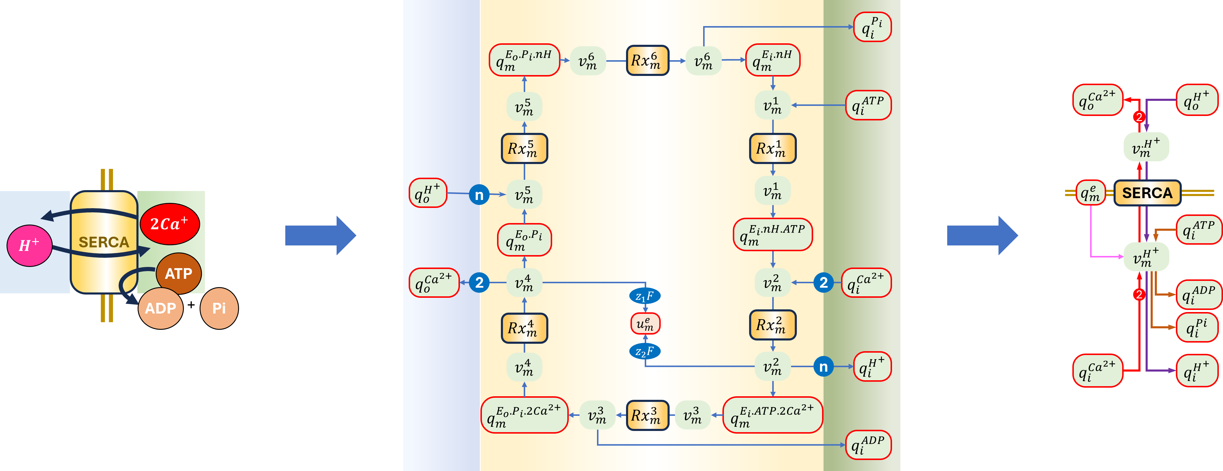 Schematic and bond graph of the model