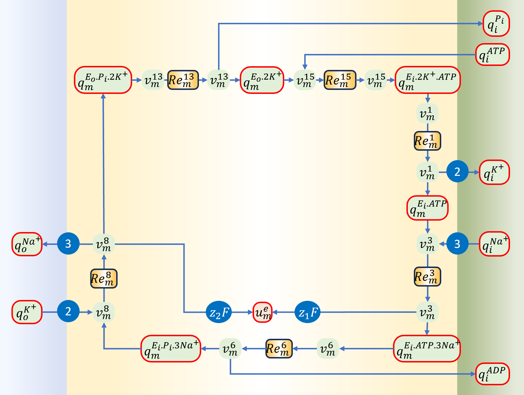 6 state bond graph of the model
