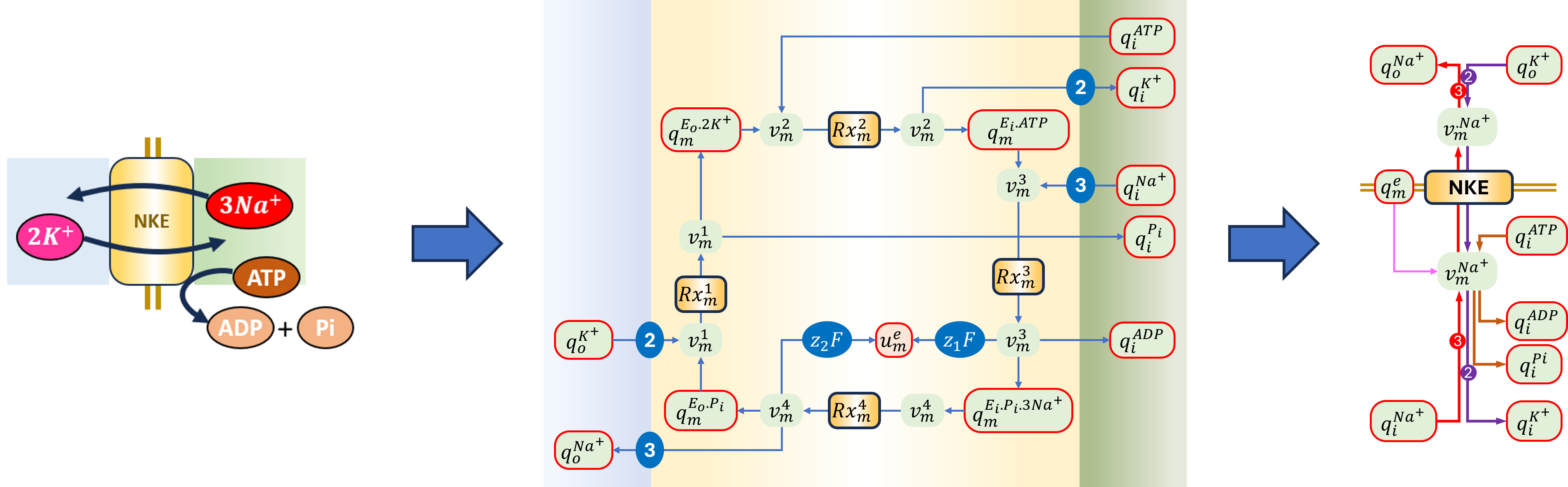Schematic and bond graph of the model