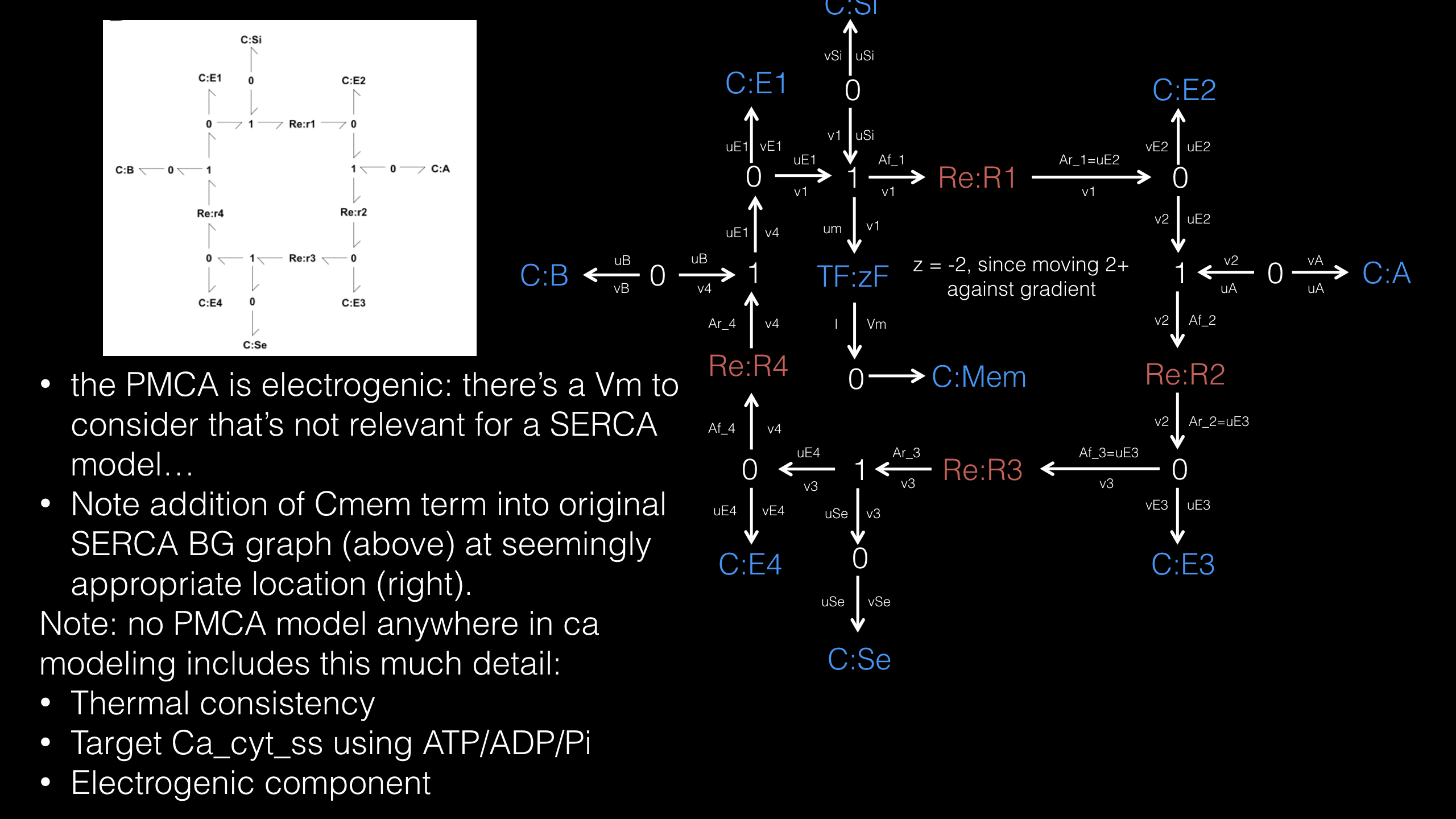 Schematic of the model