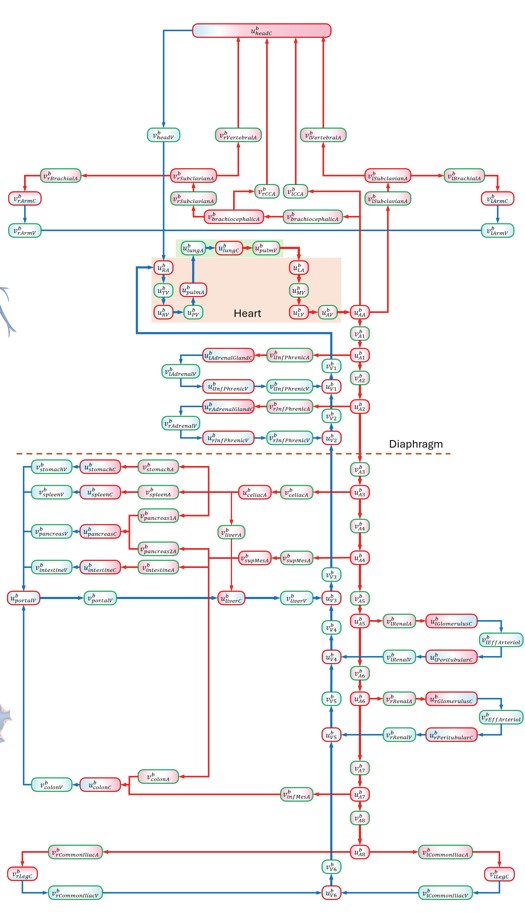 Schematic of the bond graph model