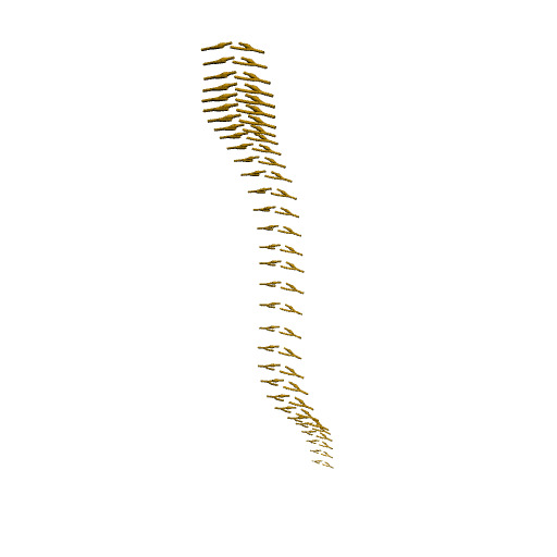 Rendering of the human spinal nerves scaffold.