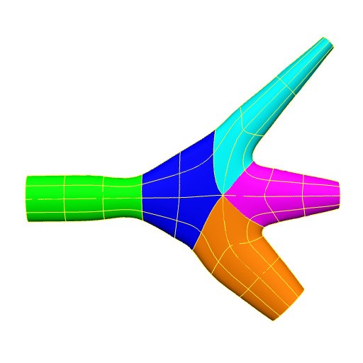 Rendering of the generic human trigeminal nerve scaffold.