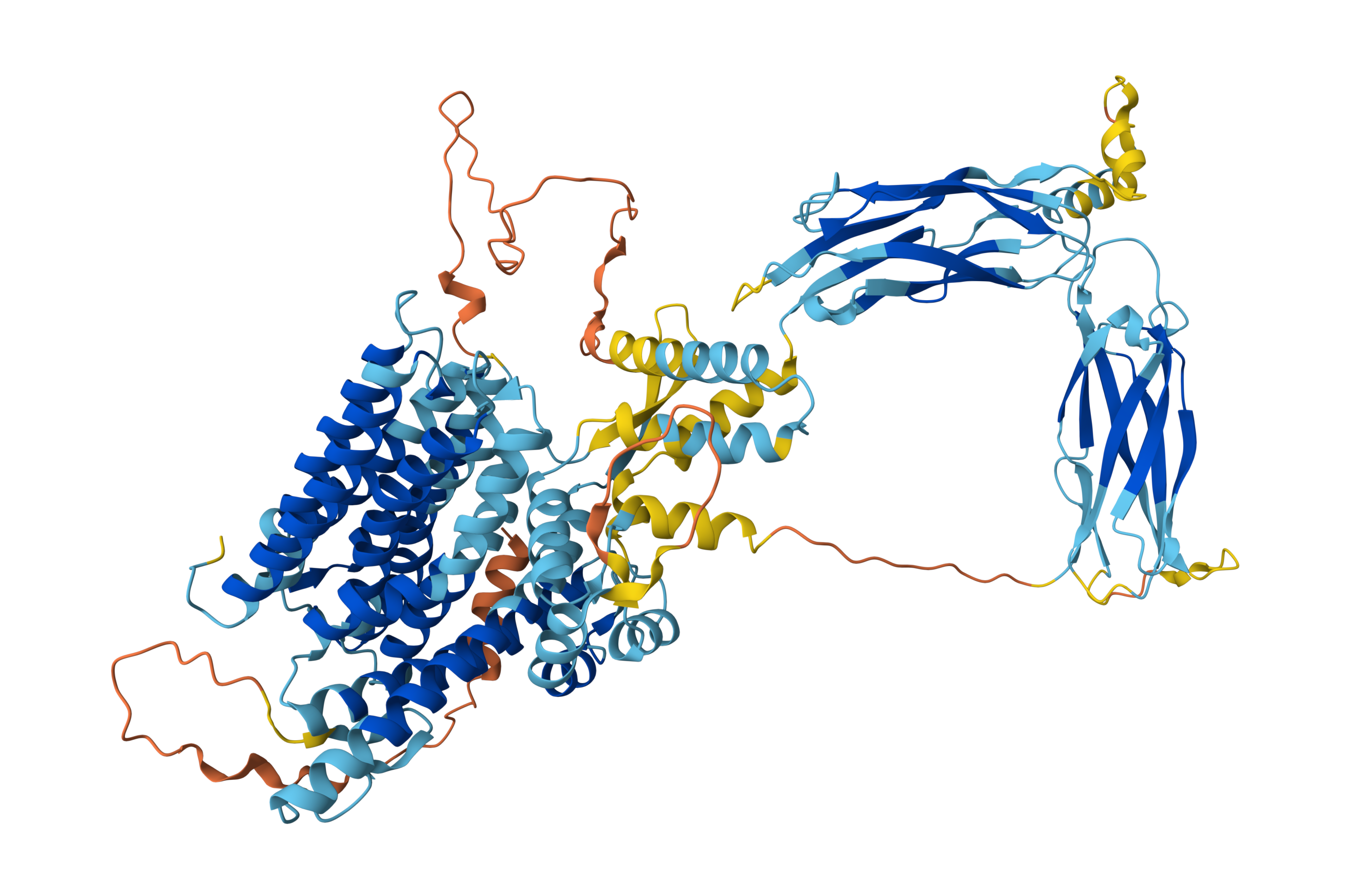 NCE_protein
