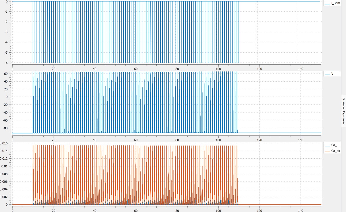 Simulation results when a periodic stimulus applied