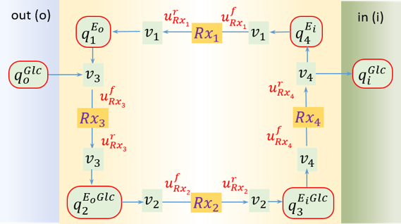Schematic of the bond graph GLUT model.