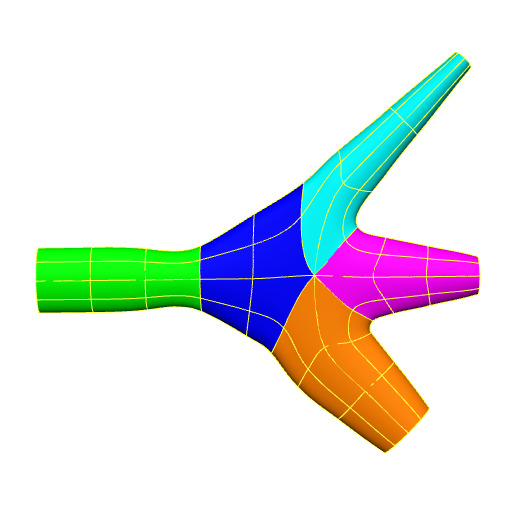 Rendering of the generic human trigeminal nerve scaffold.