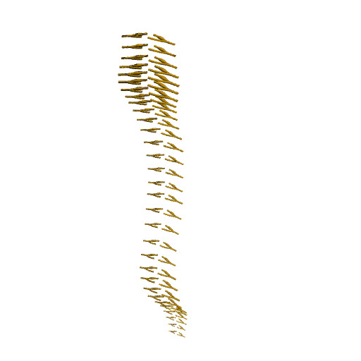 Rendering of the human spinal nerves scaffold.