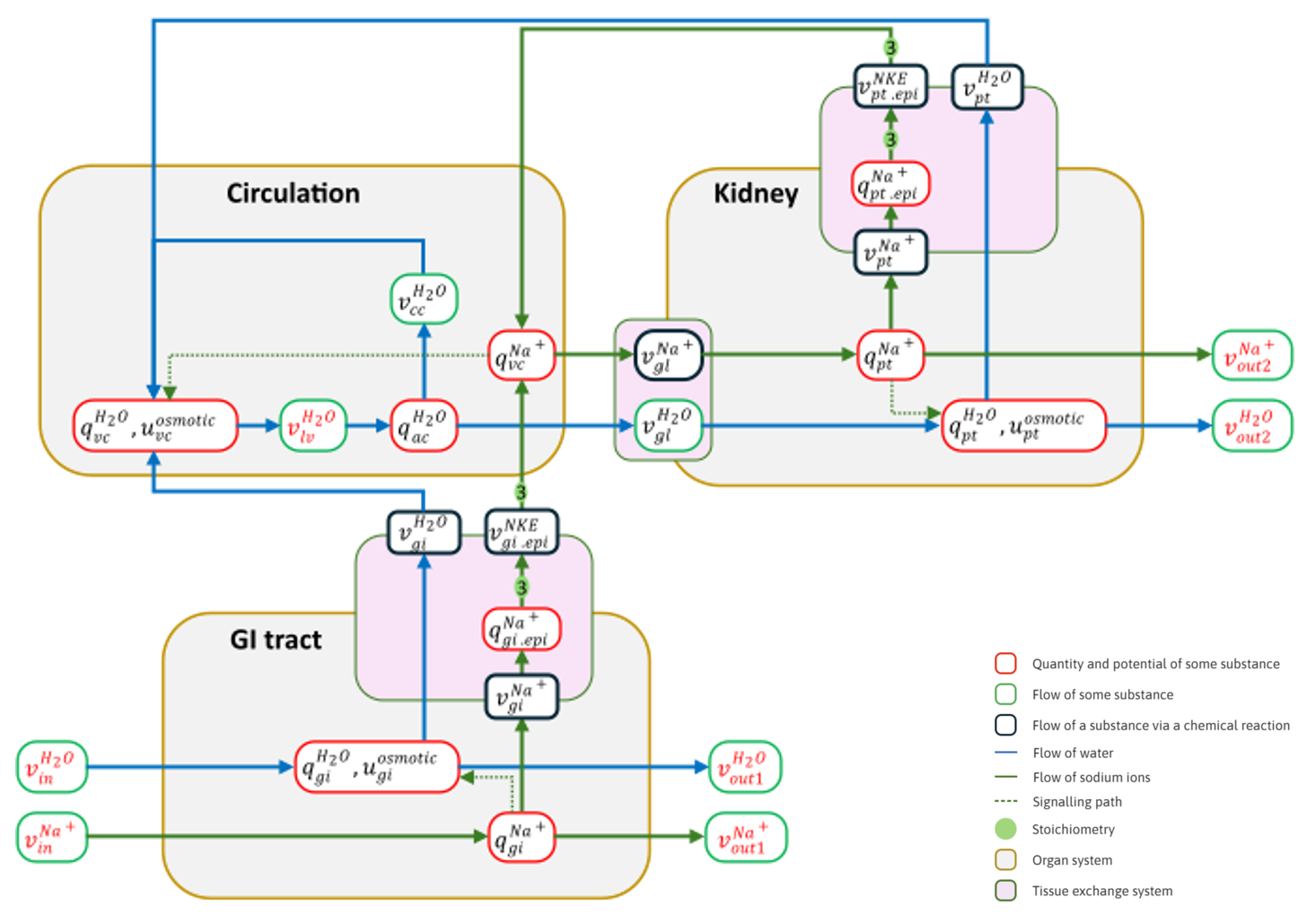 Schematic model diagram.